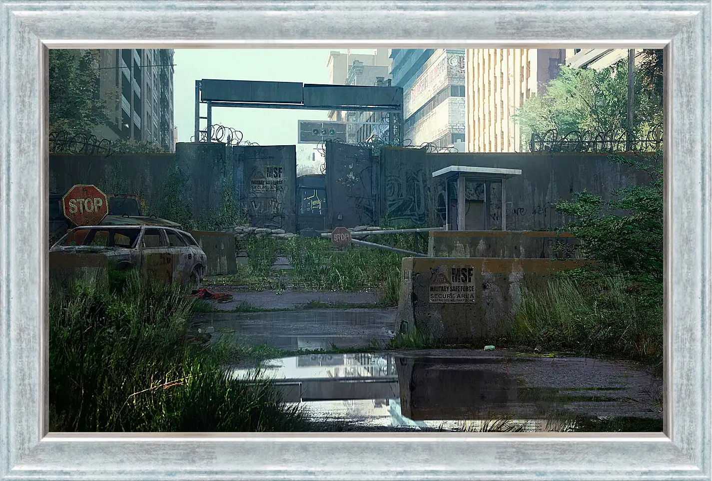 Картина в раме - The Last Of Us
