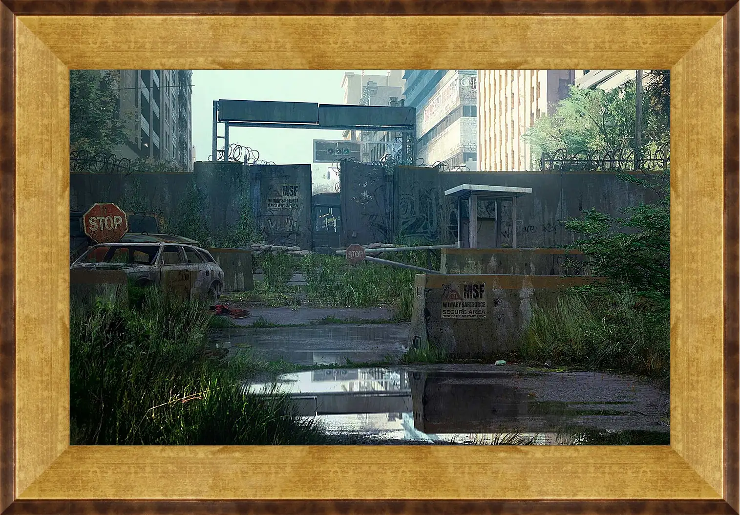 Картина в раме - The Last Of Us
