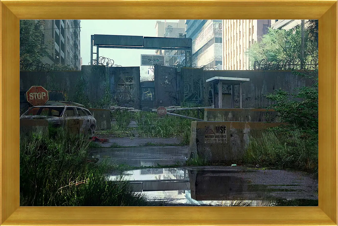 Картина в раме - The Last Of Us
