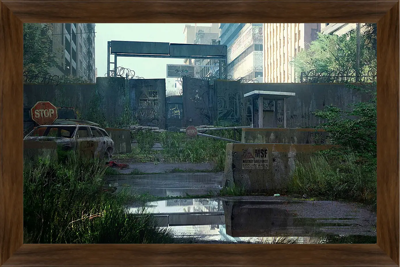 Картина в раме - The Last Of Us
