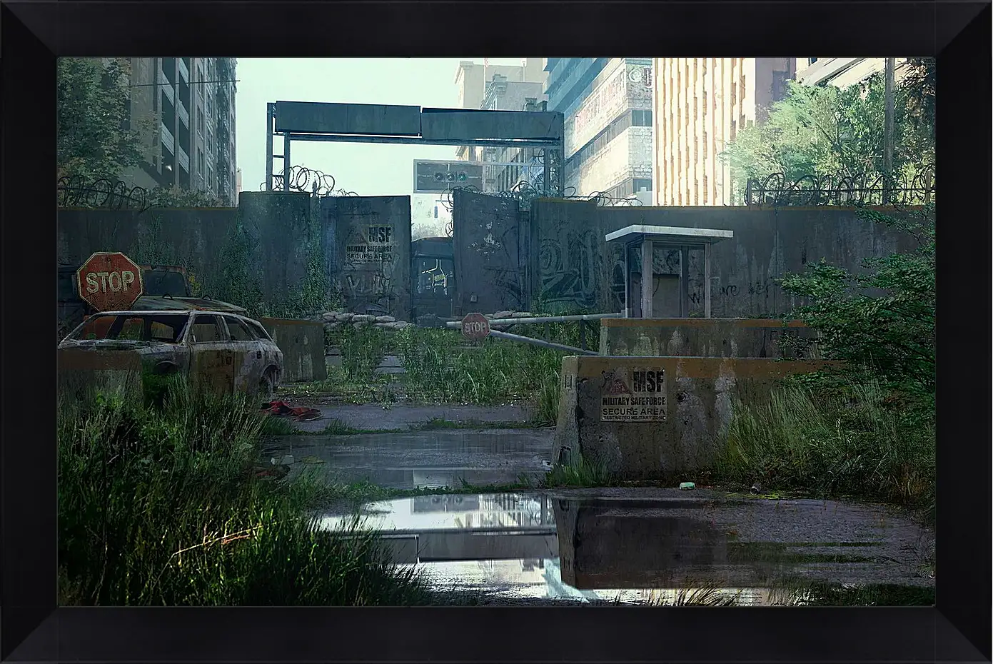 Картина в раме - The Last Of Us
