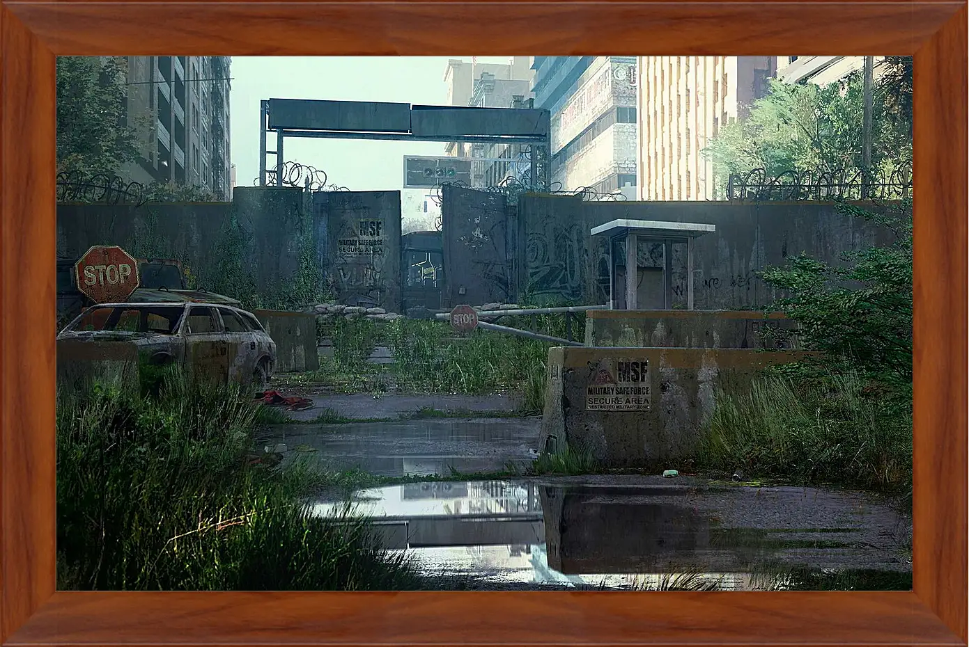 Картина в раме - The Last Of Us
