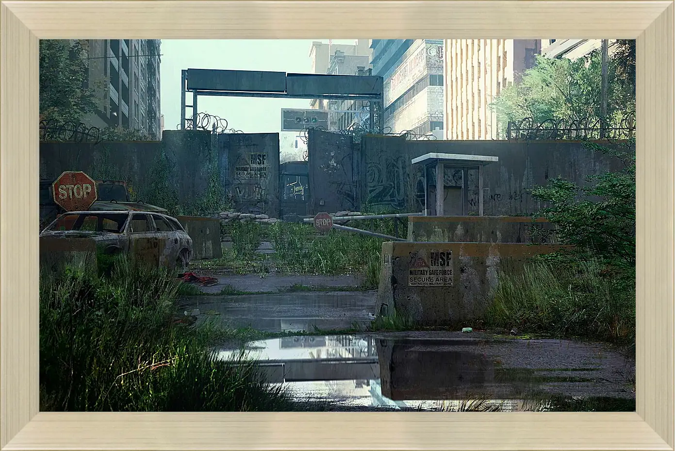 Картина в раме - The Last Of Us
