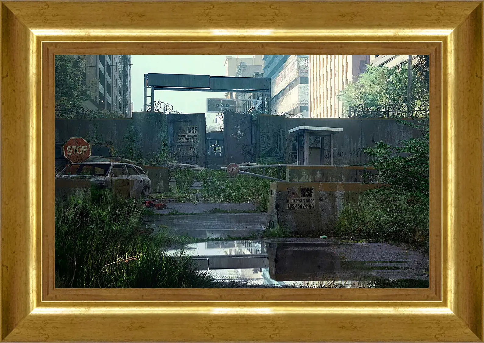 Картина в раме - The Last Of Us
