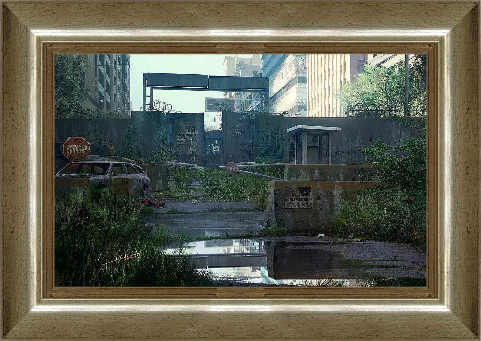 Картина в раме - The Last Of Us
