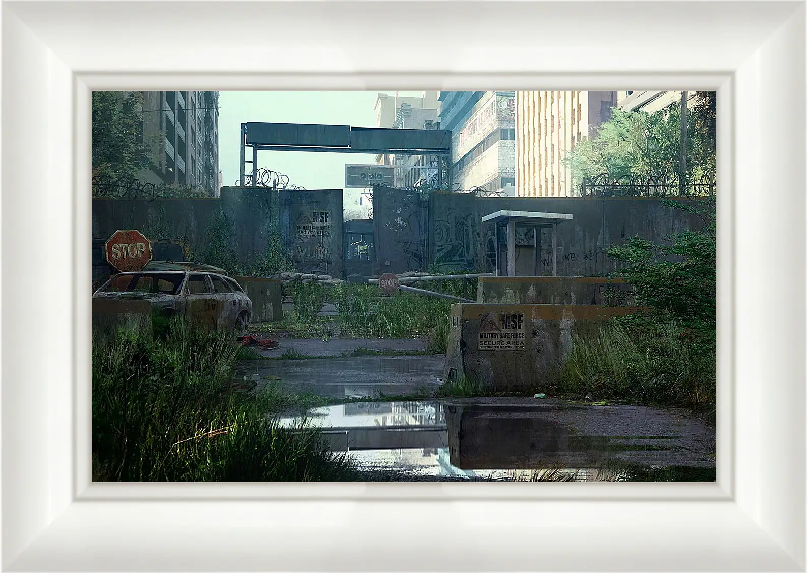 Картина в раме - The Last Of Us
