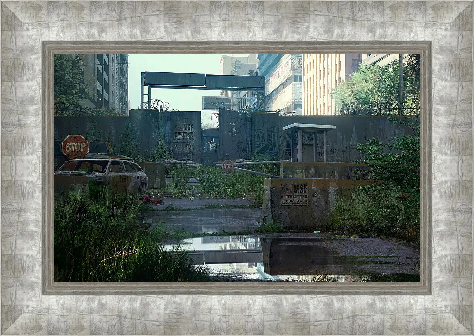 Картина в раме - The Last Of Us
