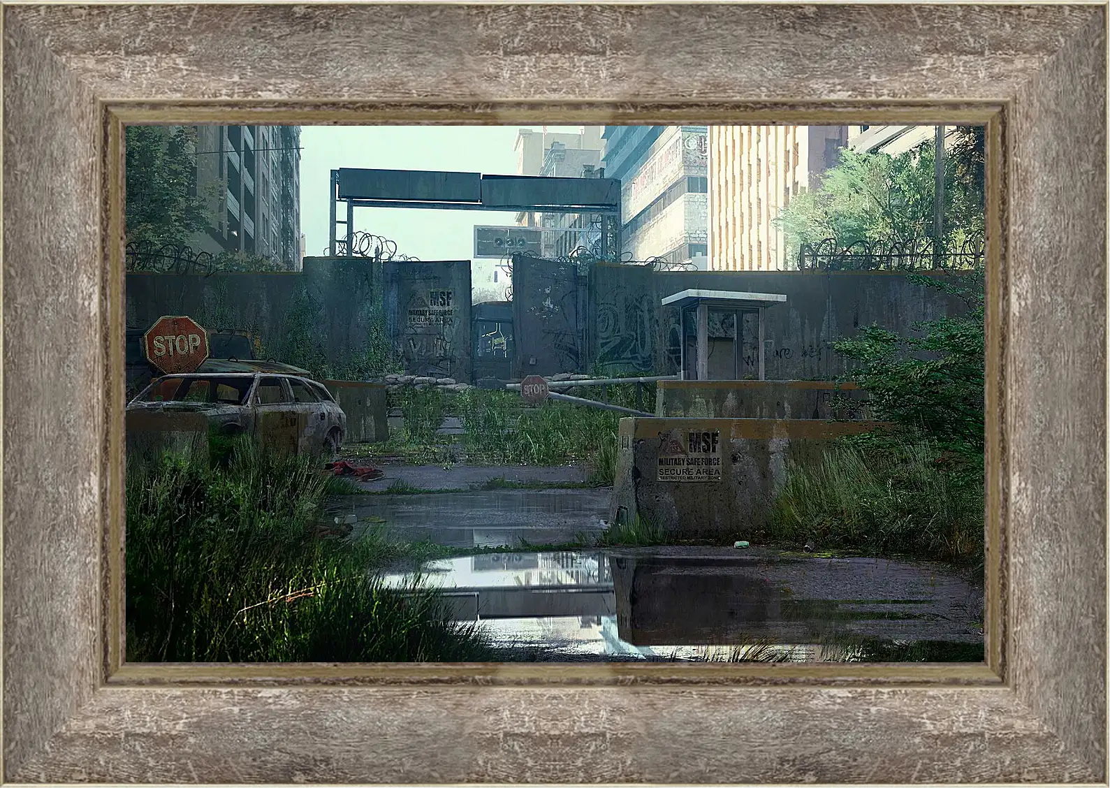 Картина в раме - The Last Of Us
