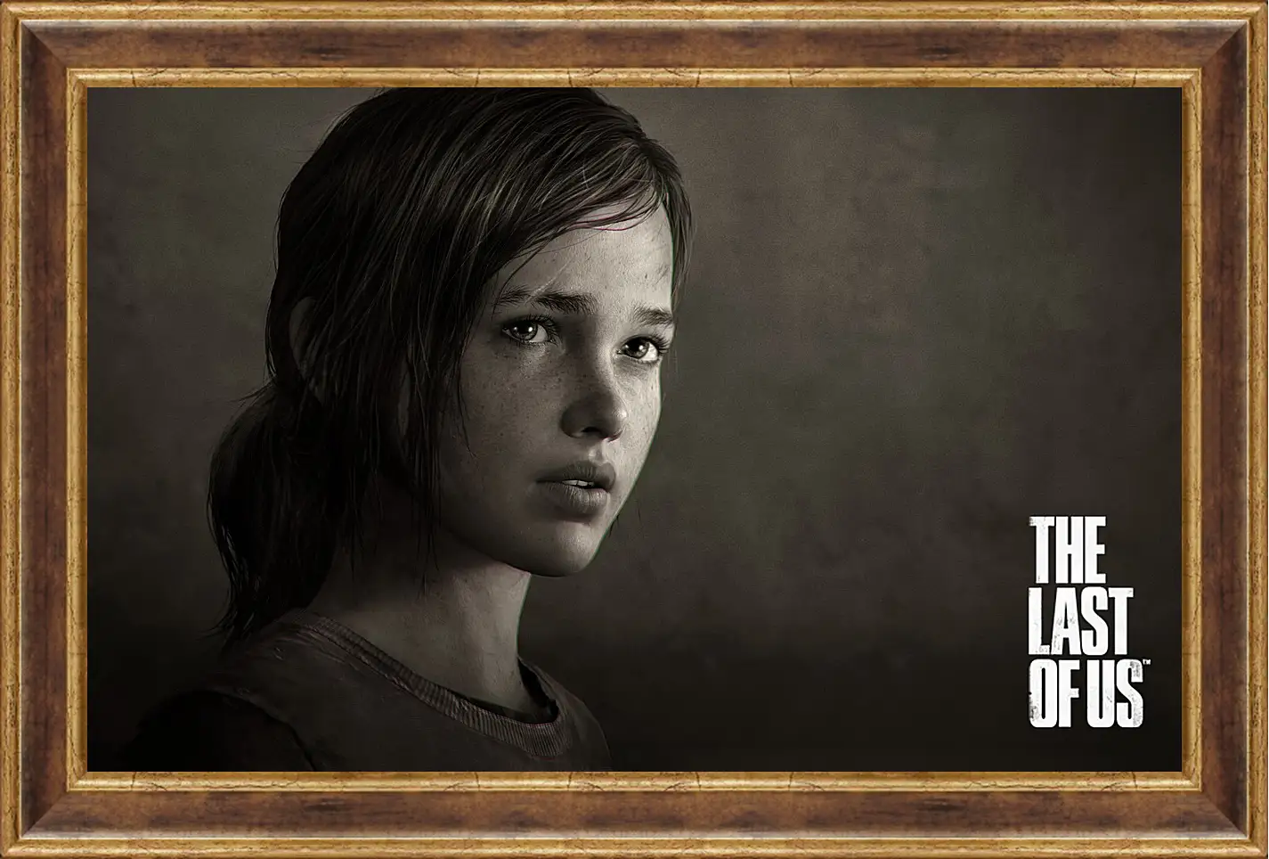 Картина в раме - The Last Of Us
