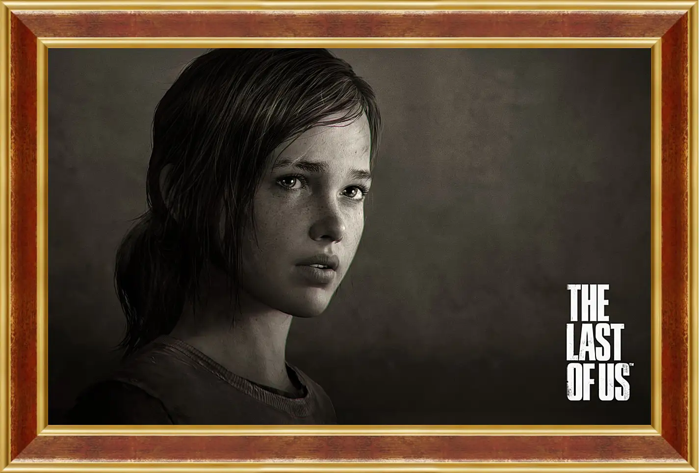 Картина в раме - The Last Of Us
