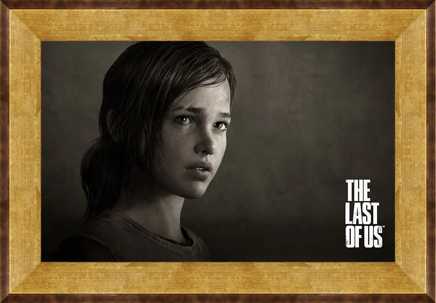 Картина в раме - The Last Of Us
