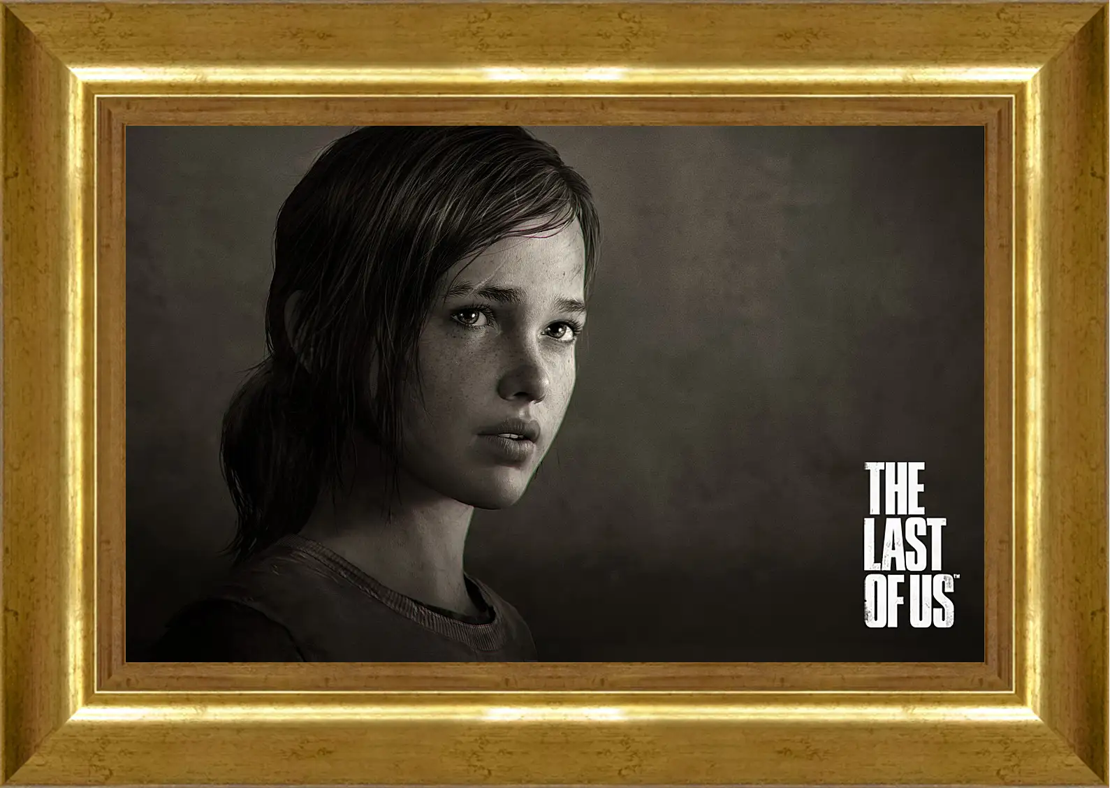 Картина в раме - The Last Of Us
