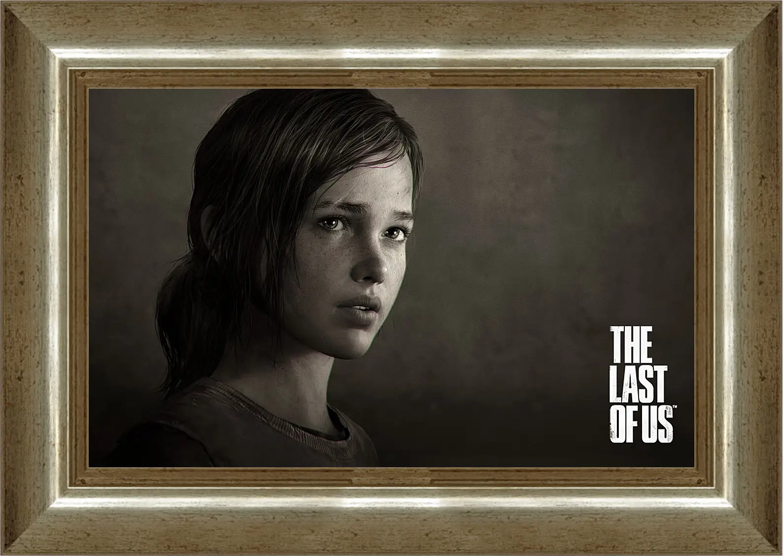 Картина в раме - The Last Of Us
