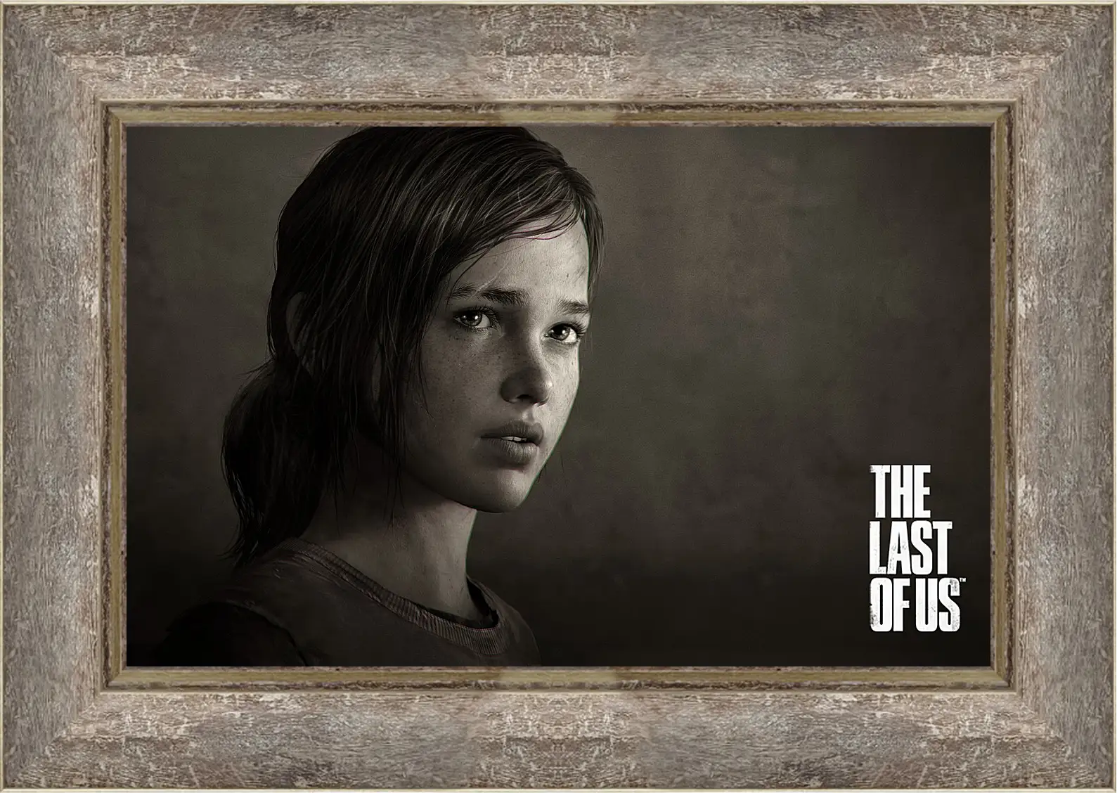 Картина в раме - The Last Of Us
