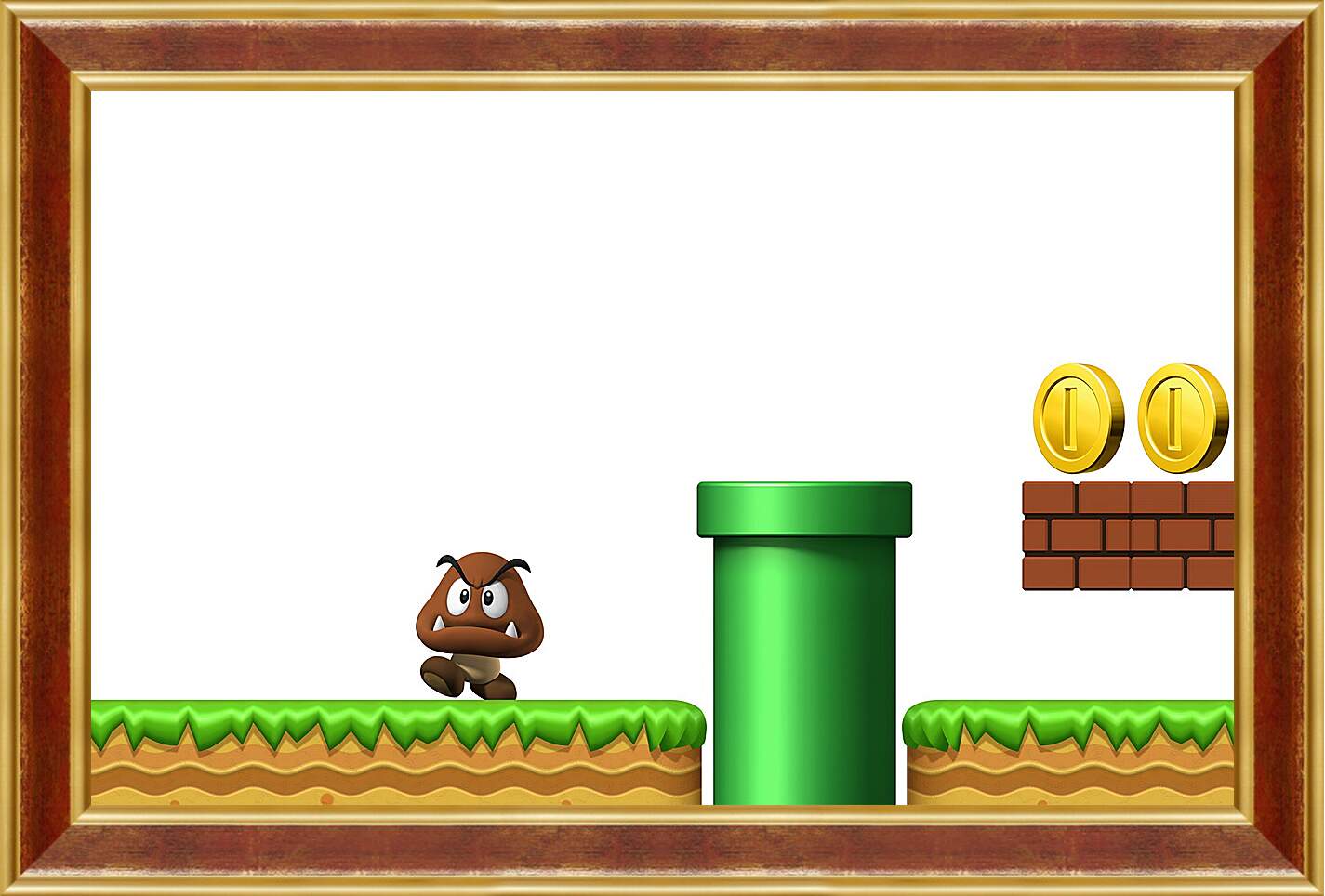 Картина в раме - New Super Mario Bros. Wii
