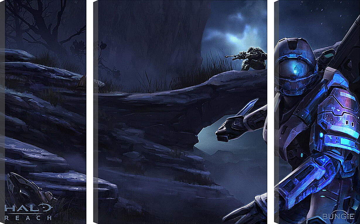 Модульная картина - Halo: Reach