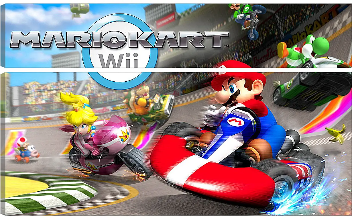 Модульная картина - Mario Kart Wii
