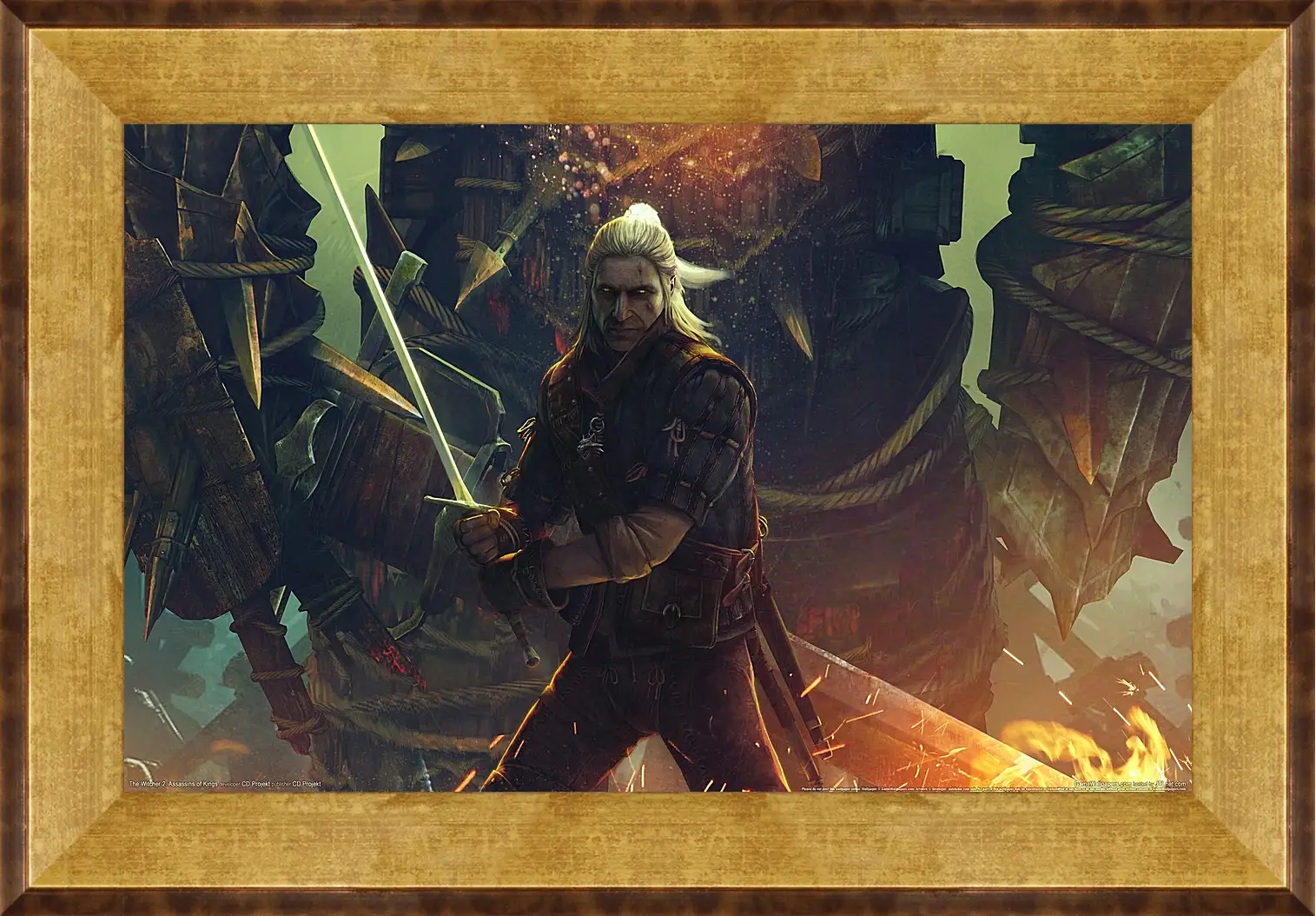 Картина в раме - The Witcher 2: Assassins Of Kings