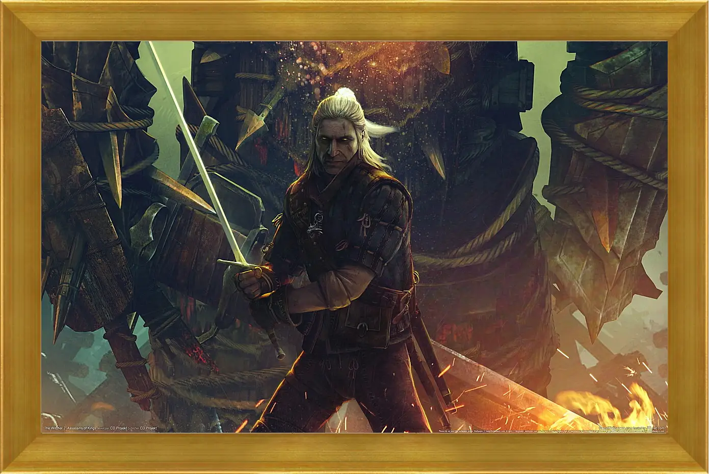 Картина в раме - The Witcher 2: Assassins Of Kings