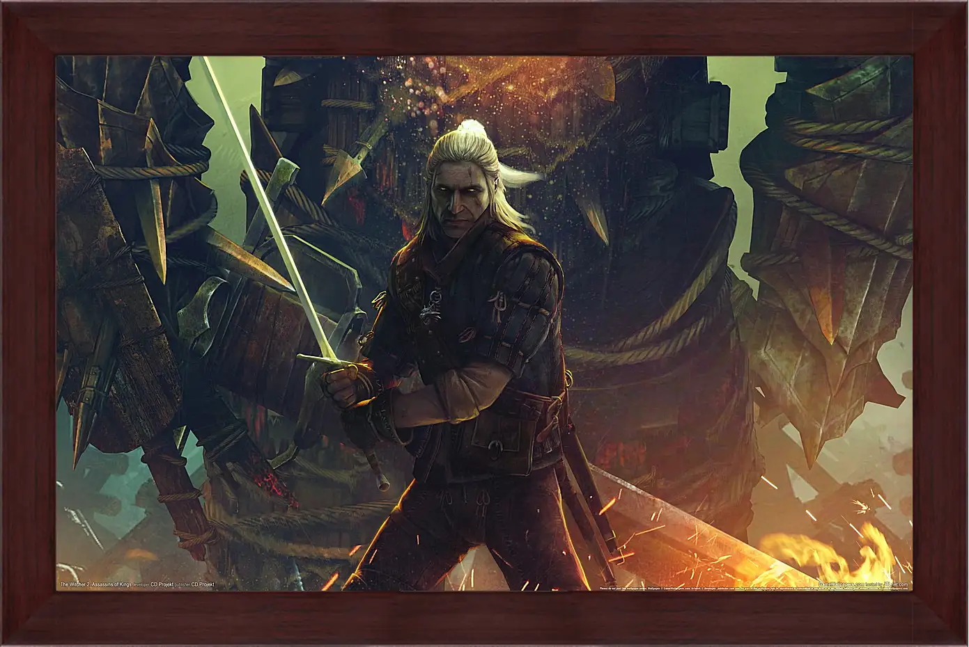 Картина в раме - The Witcher 2: Assassins Of Kings