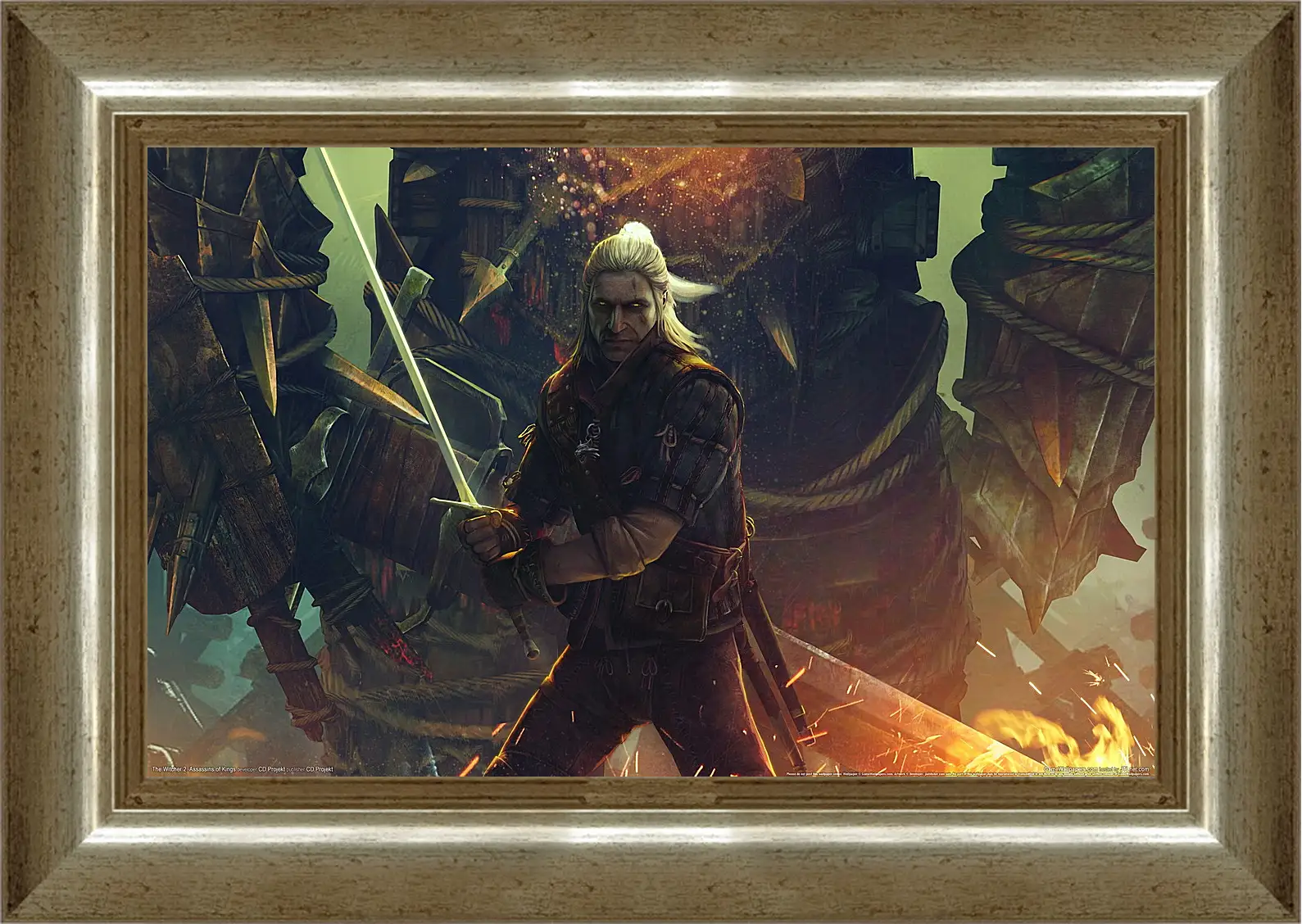 Картина в раме - The Witcher 2: Assassins Of Kings