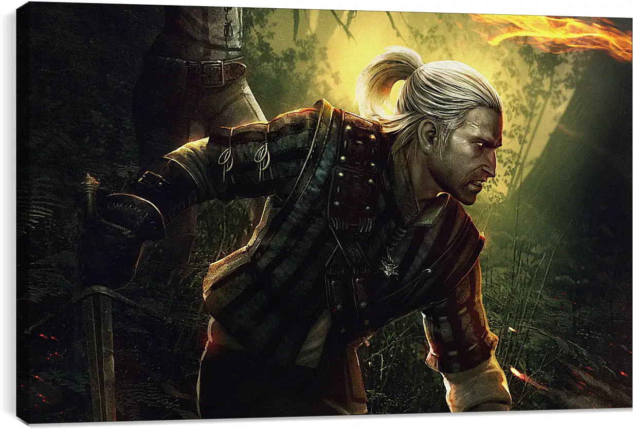 Постер и плакат - The Witcher 2: Assassins Of Kings