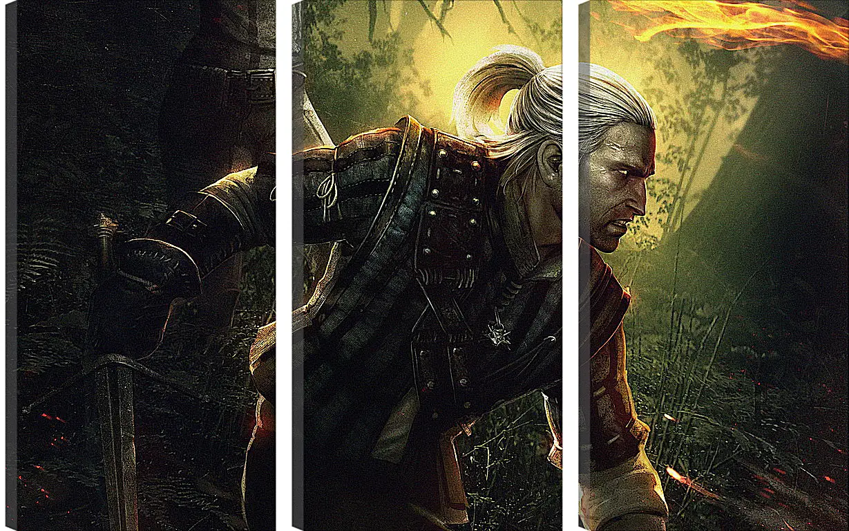 Модульная картина - The Witcher 2: Assassins Of Kings