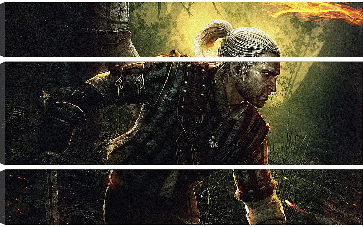 Модульная картина - The Witcher 2: Assassins Of Kings