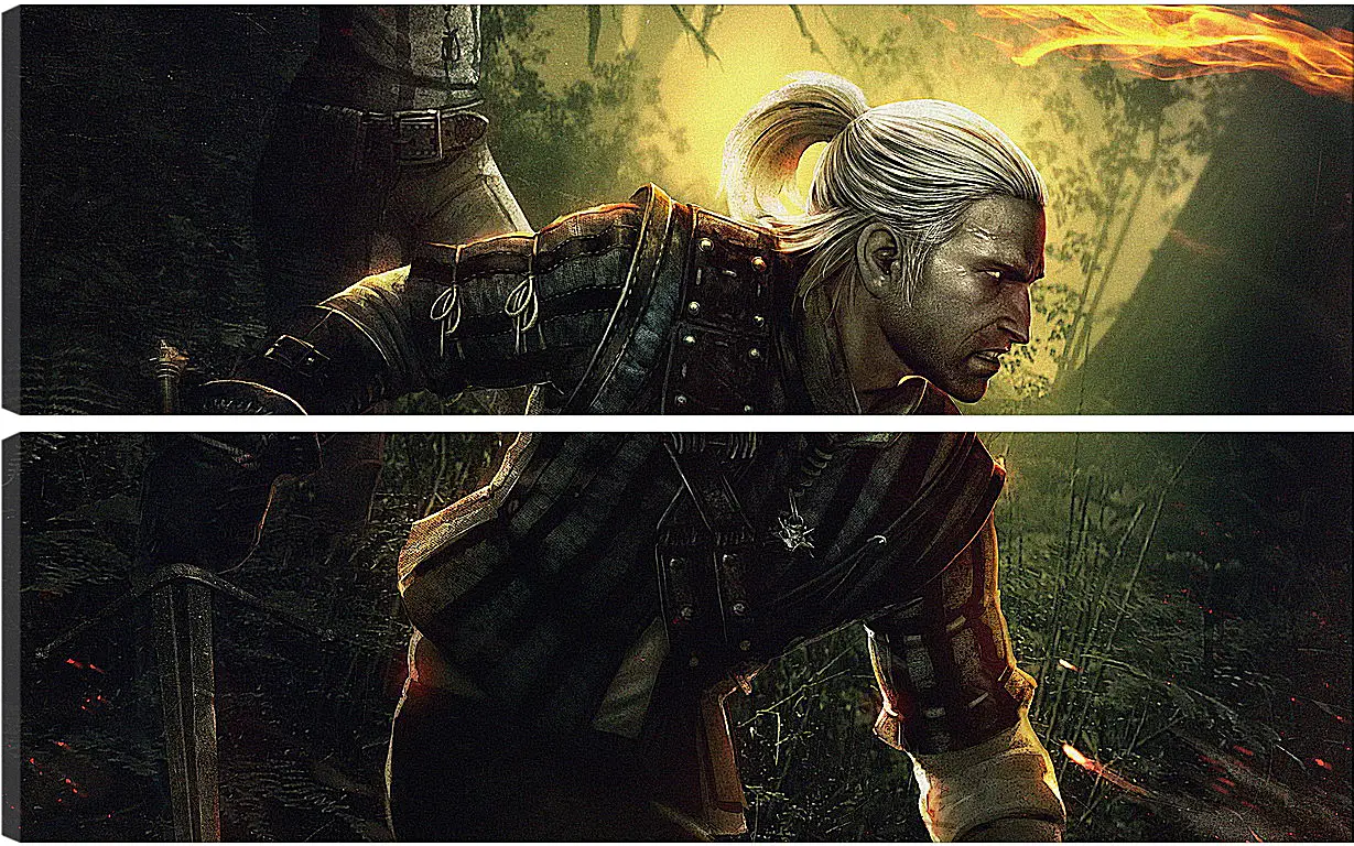 Модульная картина - The Witcher 2: Assassins Of Kings