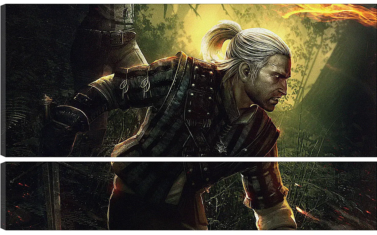 Модульная картина - The Witcher 2: Assassins Of Kings