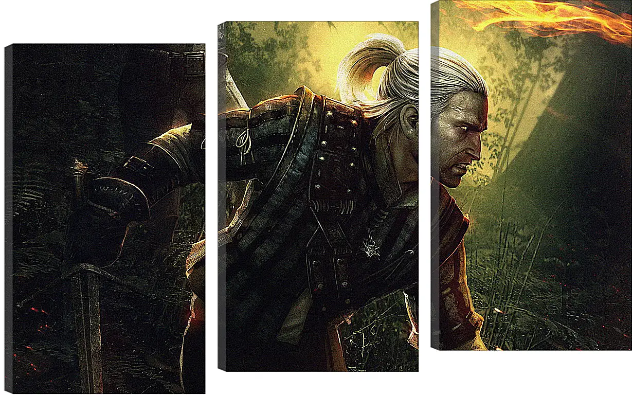 Модульная картина - The Witcher 2: Assassins Of Kings