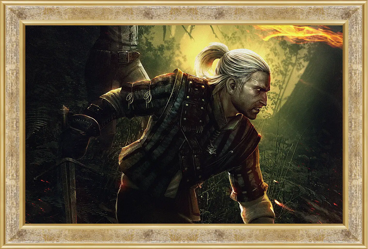 Картина в раме - The Witcher 2: Assassins Of Kings