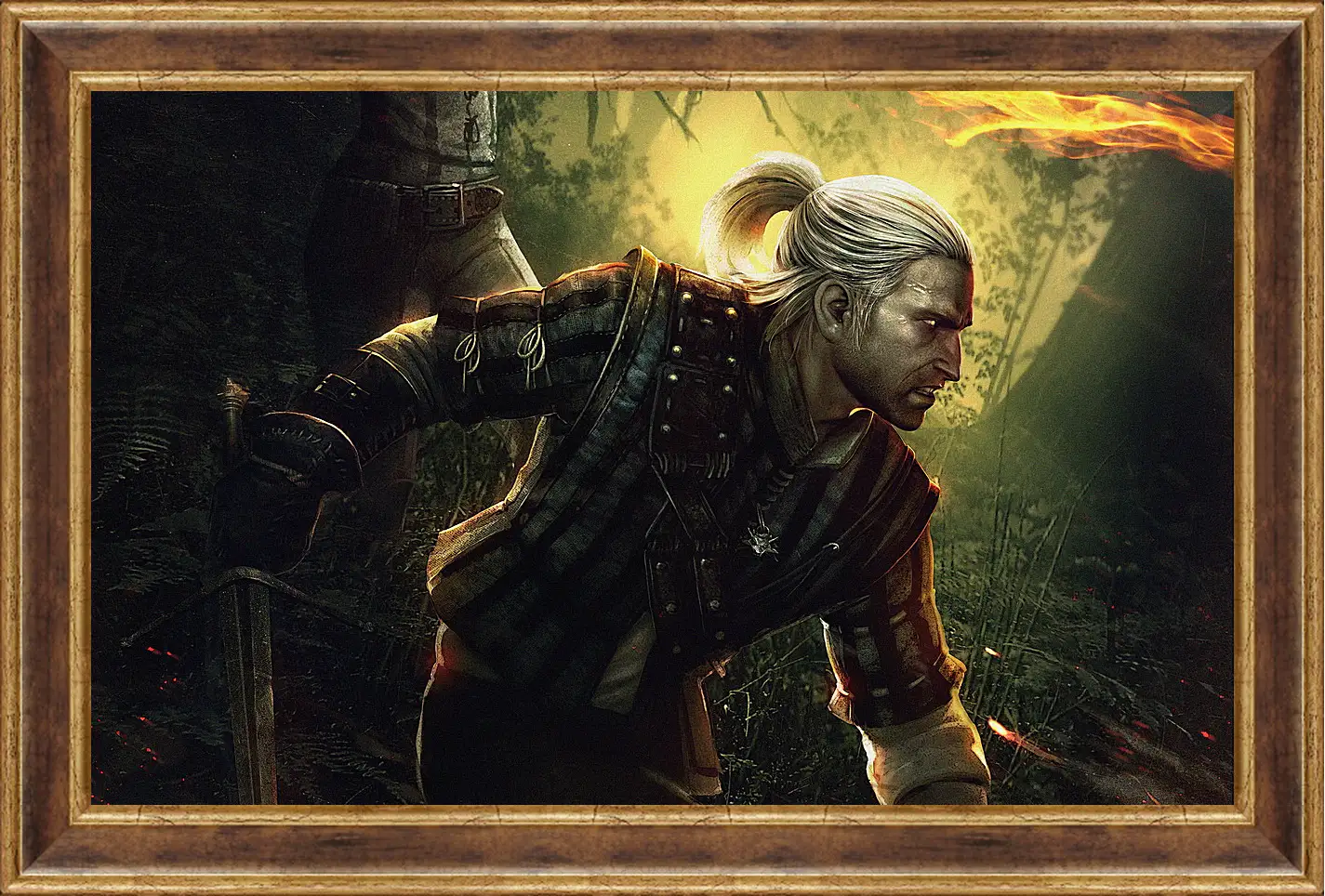 Картина в раме - The Witcher 2: Assassins Of Kings