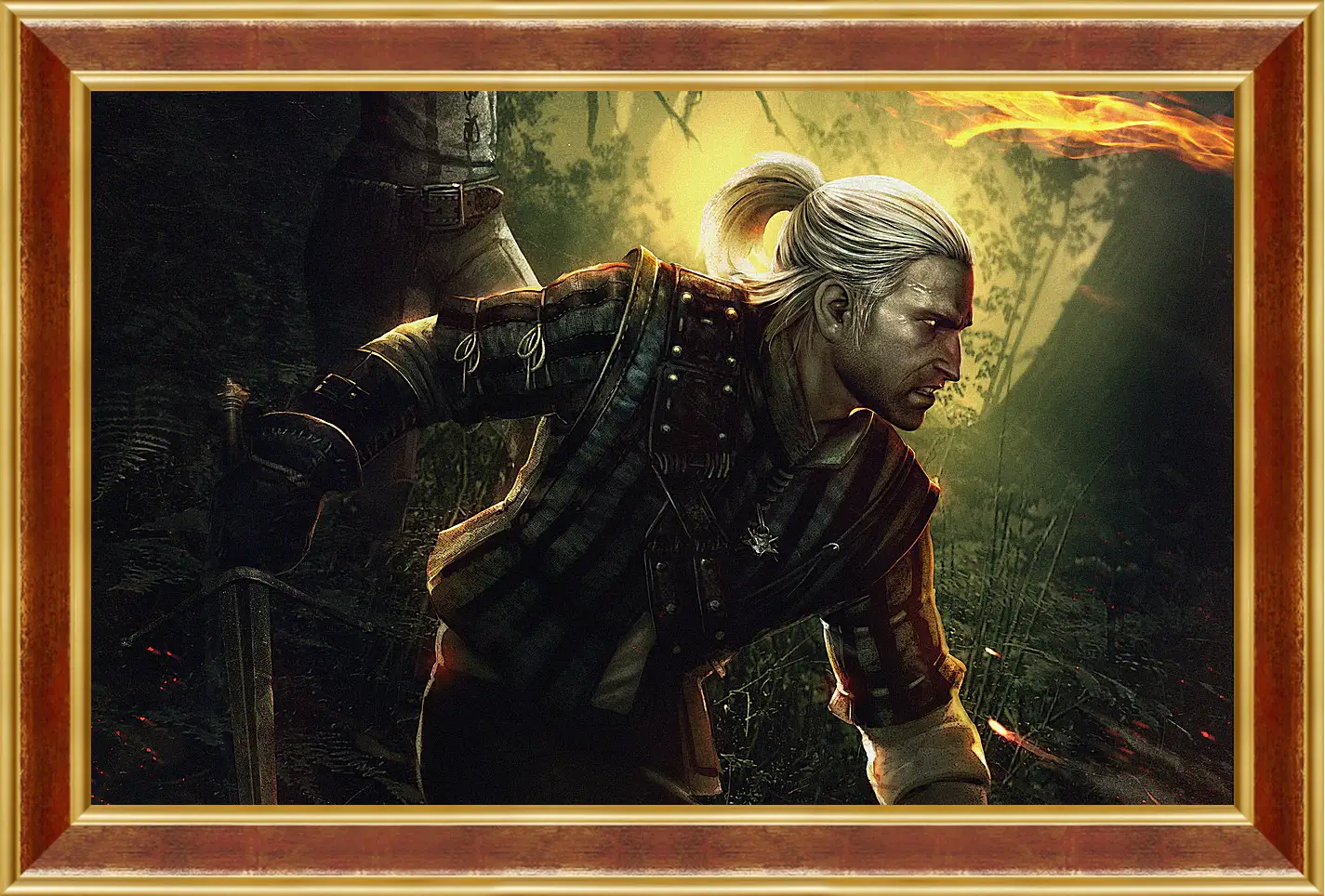 Картина в раме - The Witcher 2: Assassins Of Kings