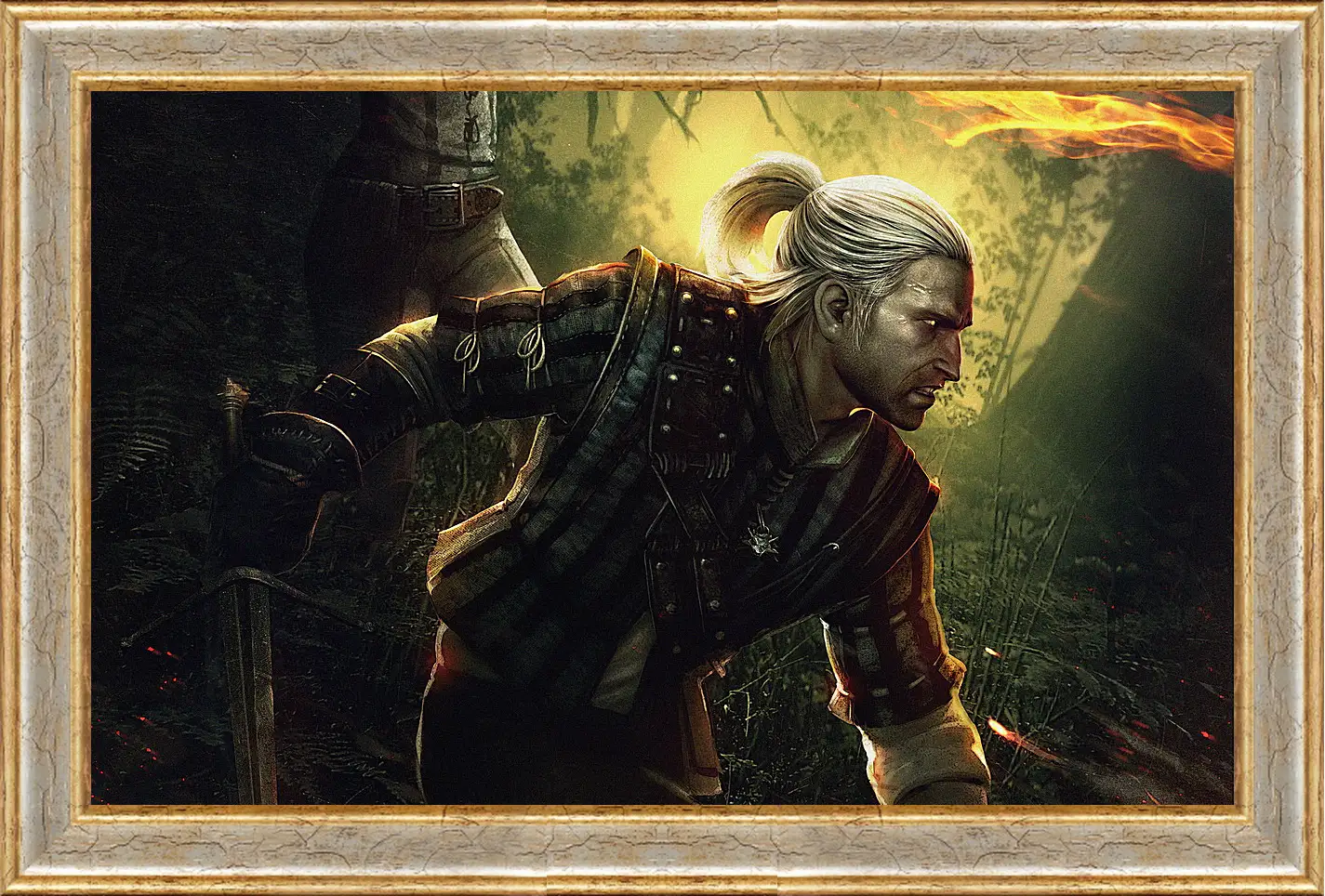 Картина в раме - The Witcher 2: Assassins Of Kings