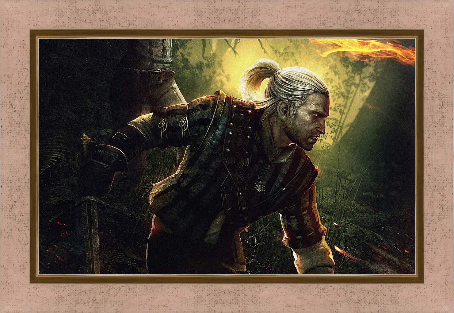 Картина в раме - The Witcher 2: Assassins Of Kings