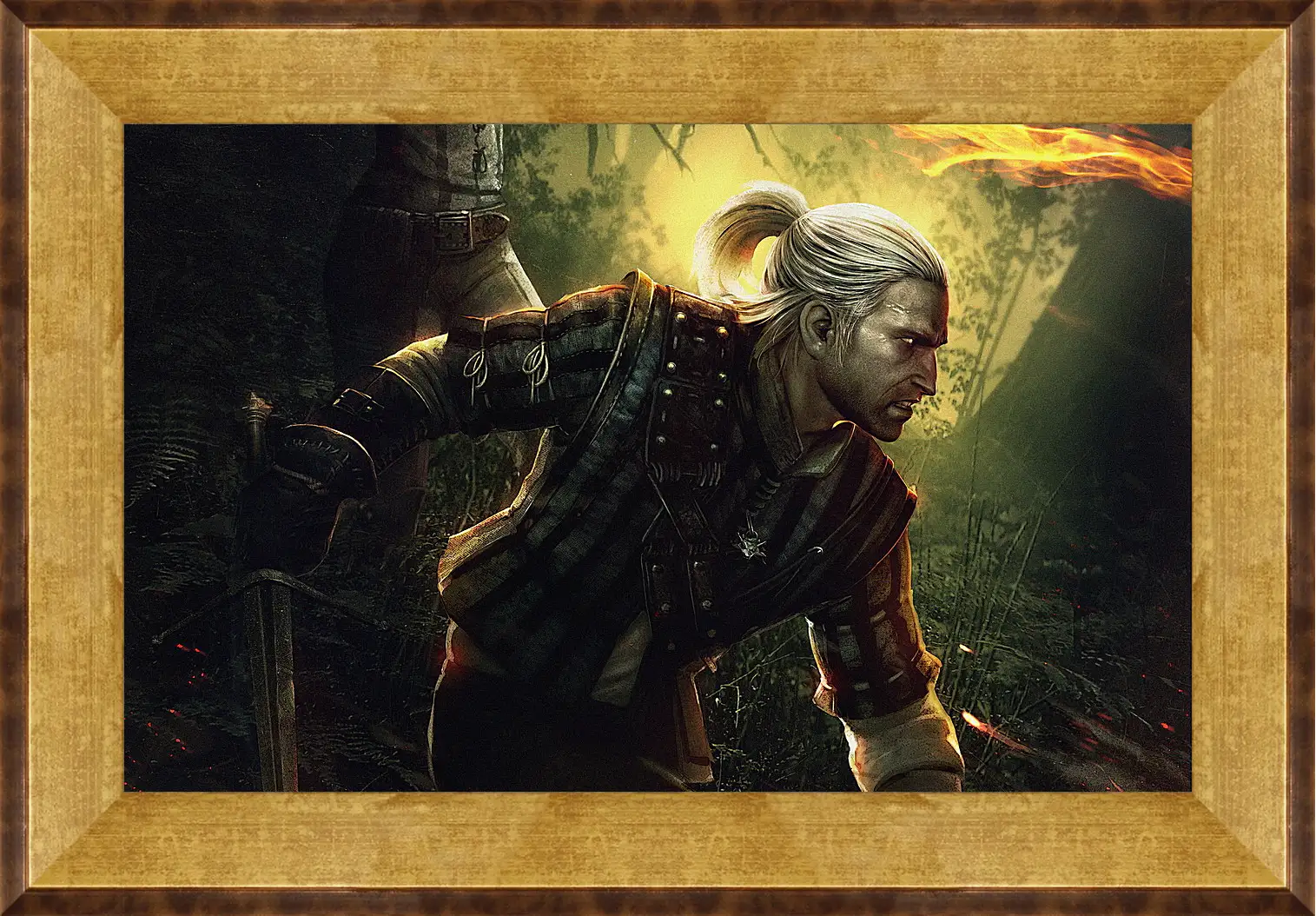 Картина в раме - The Witcher 2: Assassins Of Kings