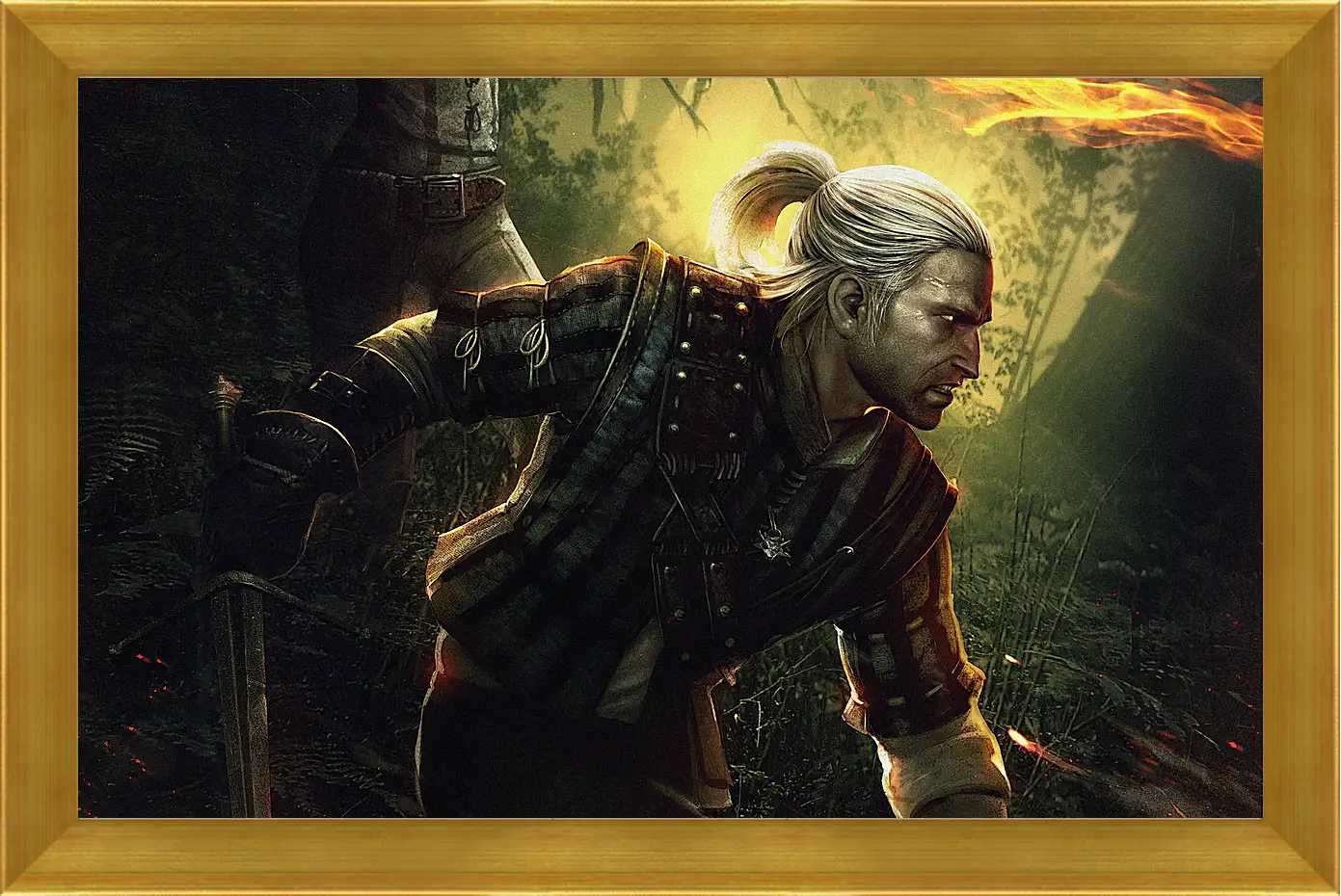 Картина в раме - The Witcher 2: Assassins Of Kings