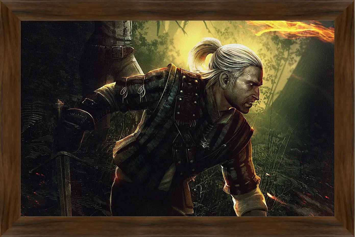 Картина в раме - The Witcher 2: Assassins Of Kings