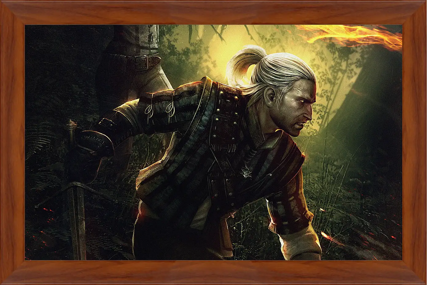 Картина в раме - The Witcher 2: Assassins Of Kings