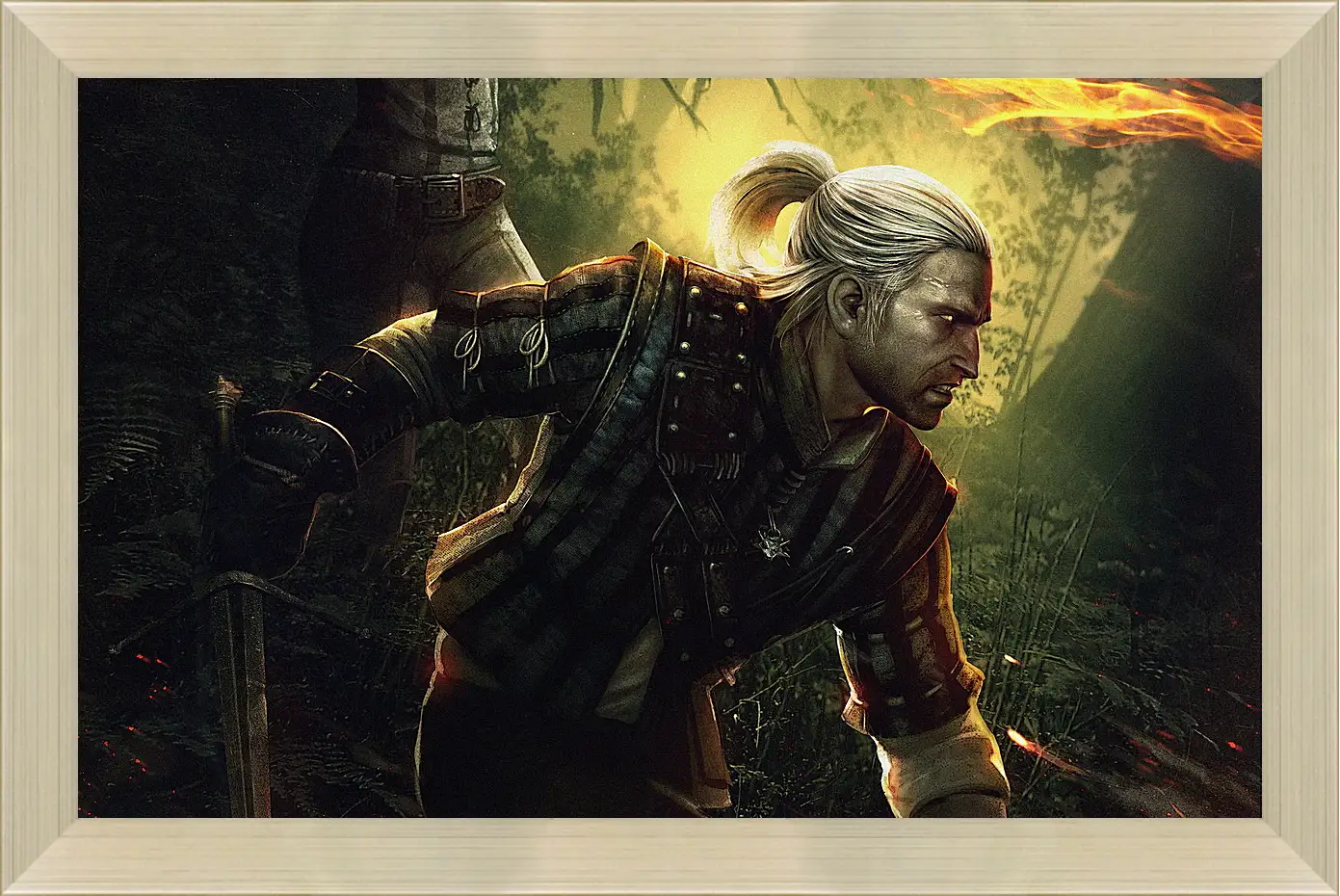 Картина в раме - The Witcher 2: Assassins Of Kings