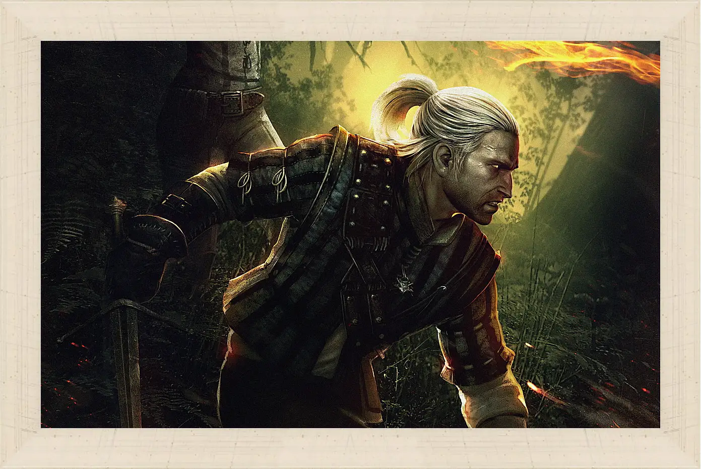 Картина в раме - The Witcher 2: Assassins Of Kings