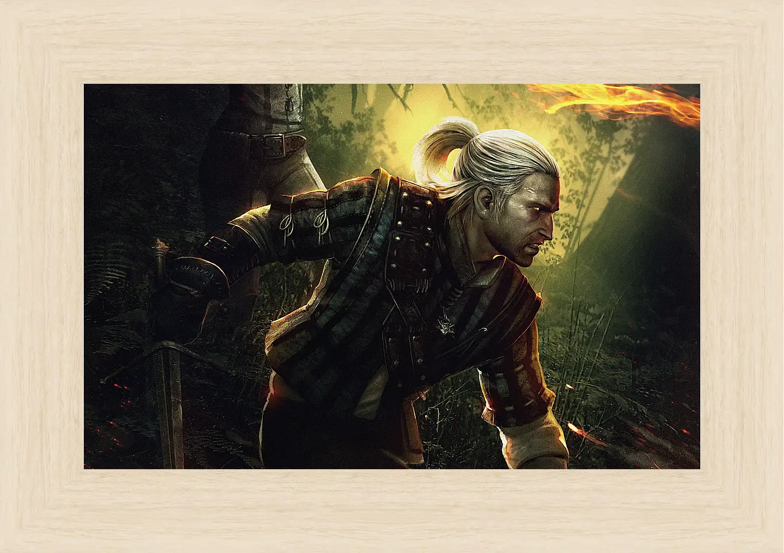 Картина в раме - The Witcher 2: Assassins Of Kings