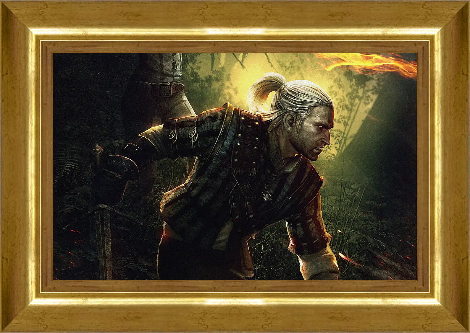 Картина в раме - The Witcher 2: Assassins Of Kings