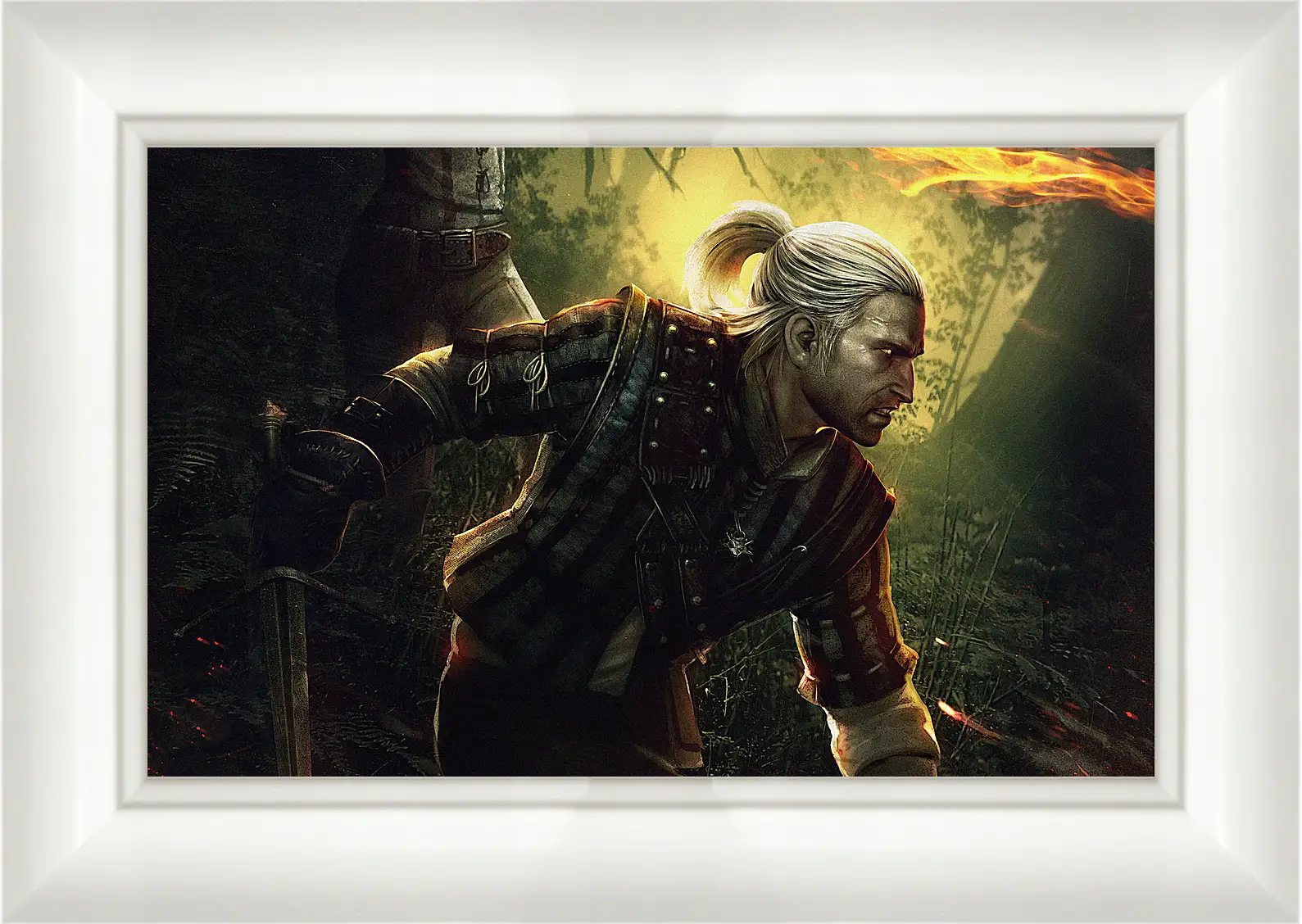 Картина в раме - The Witcher 2: Assassins Of Kings