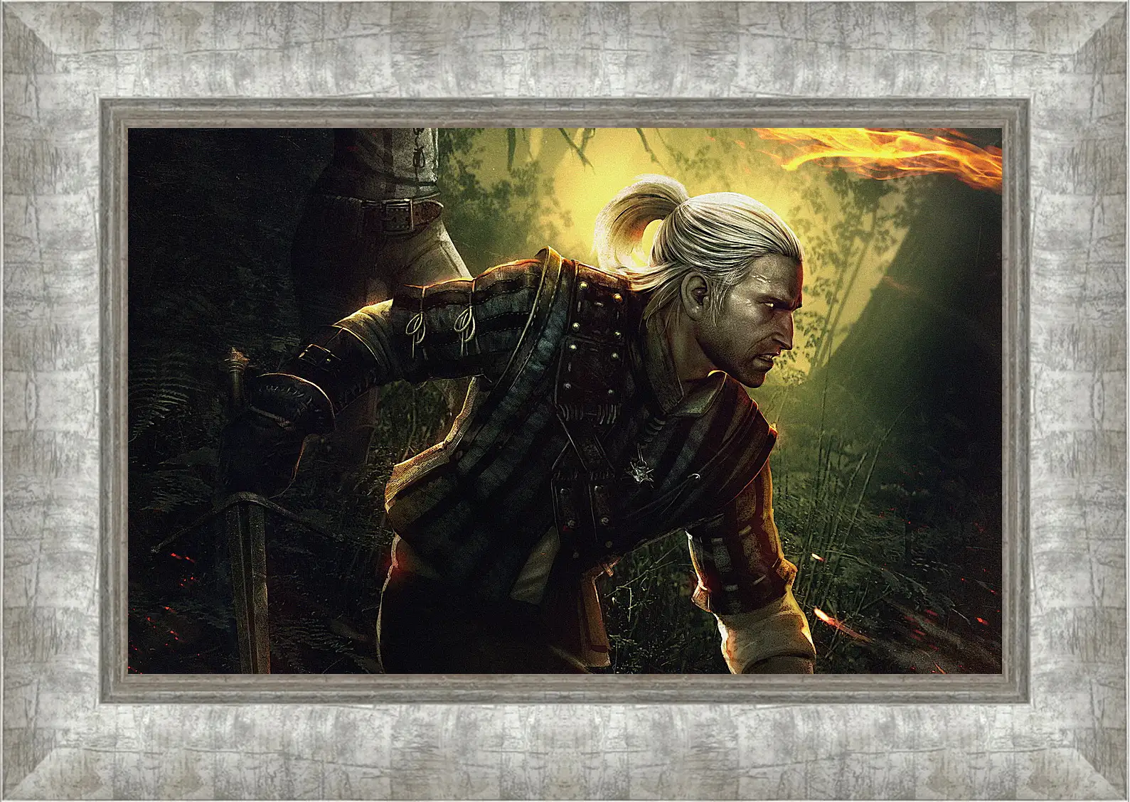 Картина в раме - The Witcher 2: Assassins Of Kings