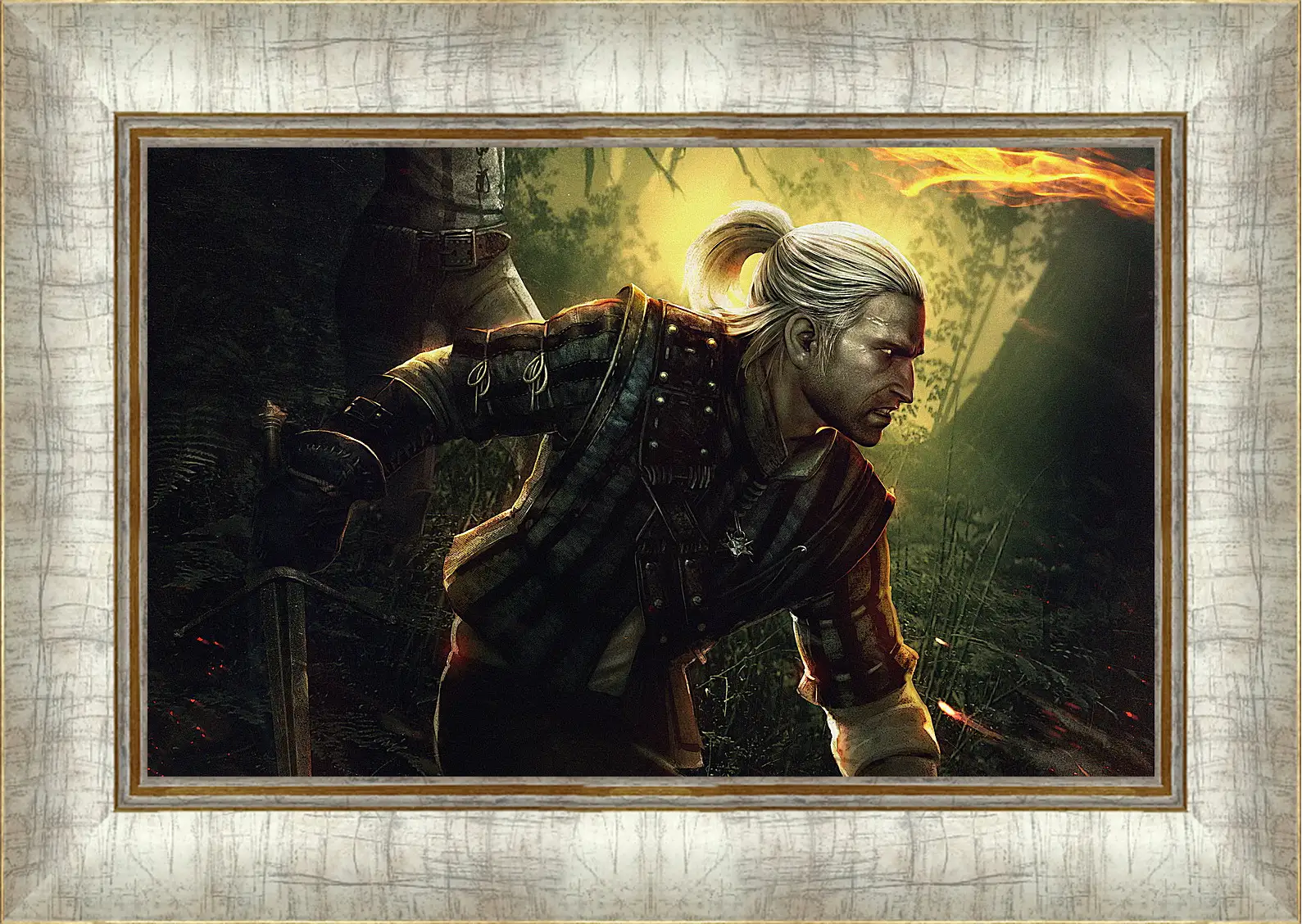 Картина в раме - The Witcher 2: Assassins Of Kings