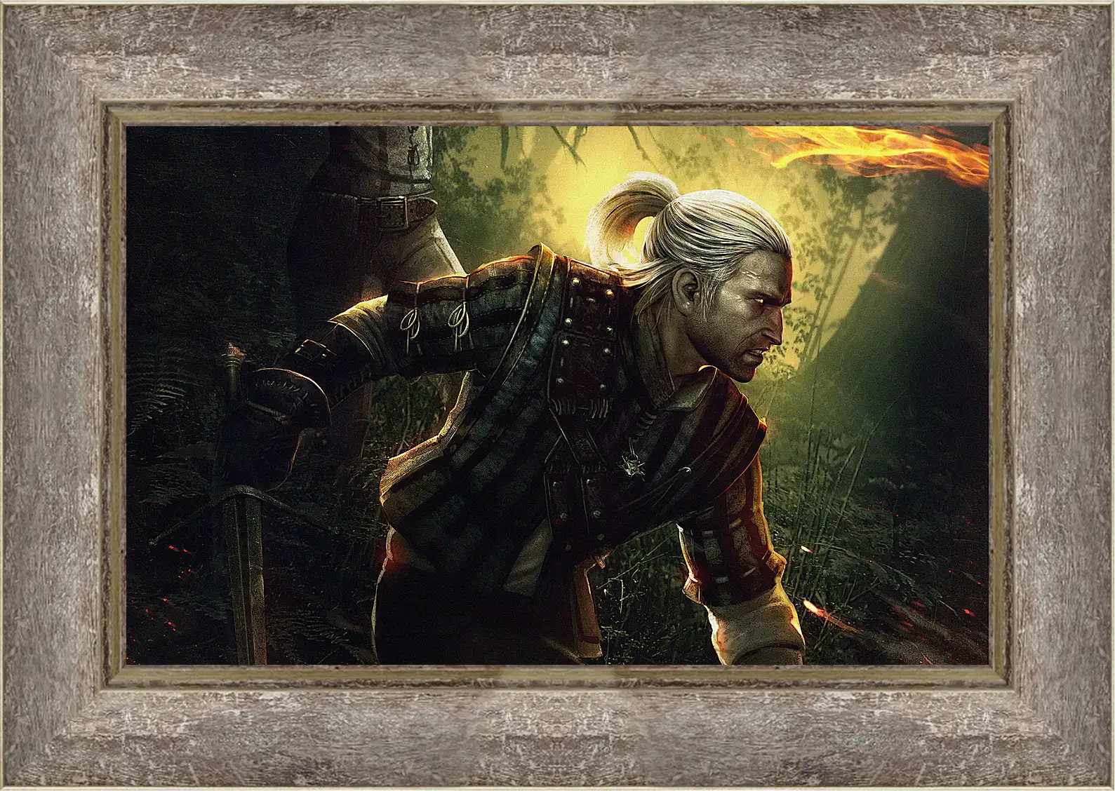 Картина в раме - The Witcher 2: Assassins Of Kings
