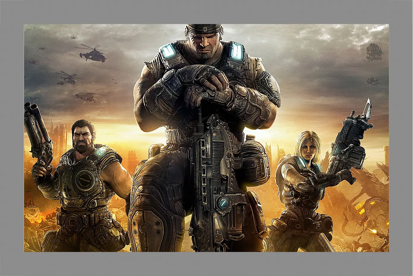 Картина в раме - Gears Of War 3
