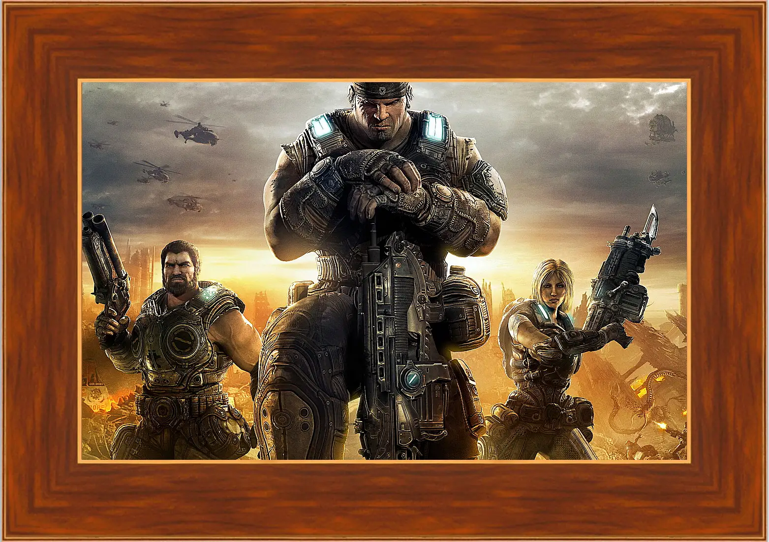 Картина в раме - Gears Of War 3
